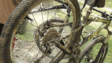 mountain bike trails